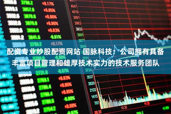 配资专业炒股配资网站 国脉科技：公司拥有具备丰富项目管理和雄厚技术实力的技术服务团队